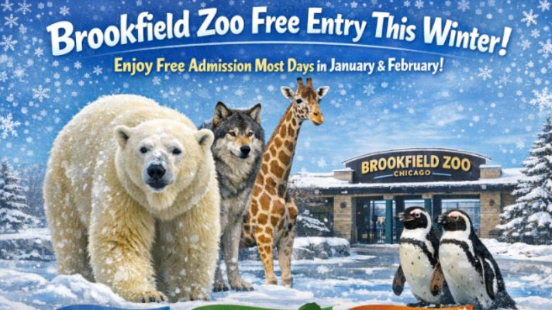 Brookfield zoo offers free admission on most days in january and february