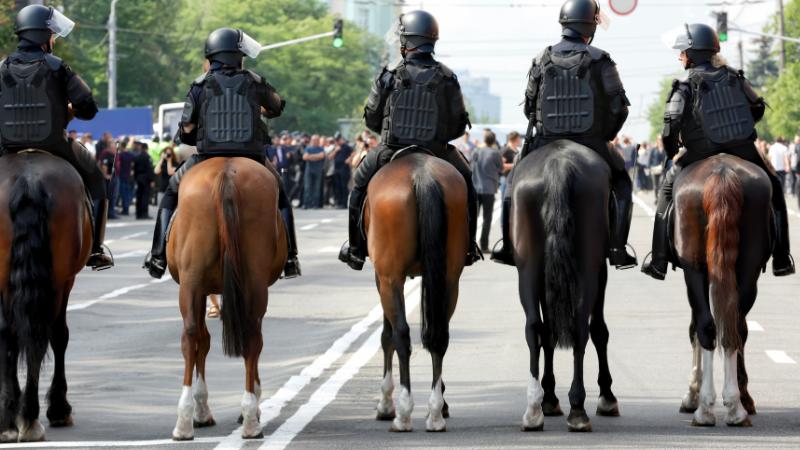 San Jose delays decision on reinstating police horse patrol until next year