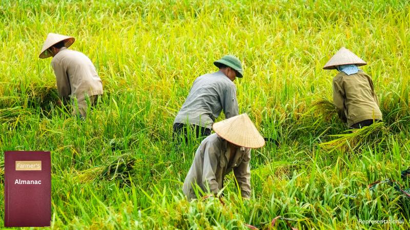 La Nina could shape Chicago’s winter weather predictions for 2025