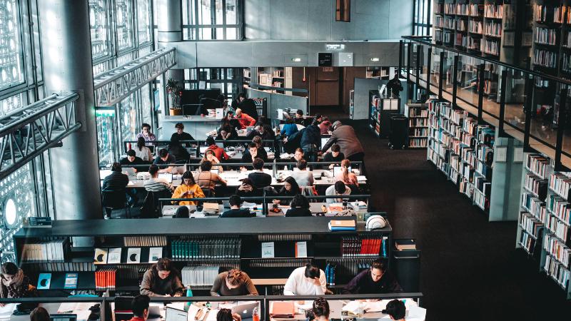 UK urged to act swiftly to attract scientists amid US academic crisis