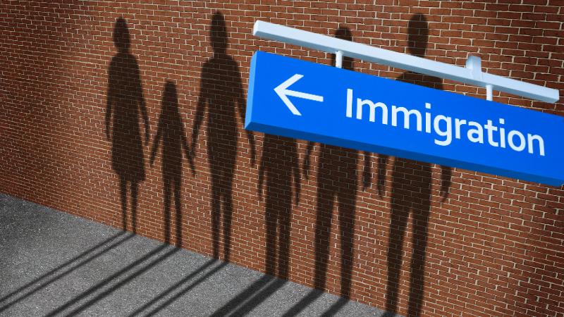 Understanding Immigrant Rights and Due Process Amid U.S. Deportation Efforts