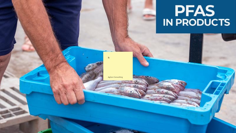 PFAS contamination in Bay Area fish raises alarm over public health threat