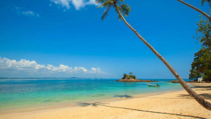 New Jerseyans want free beach access, oppose high badge costs, survey reveals
