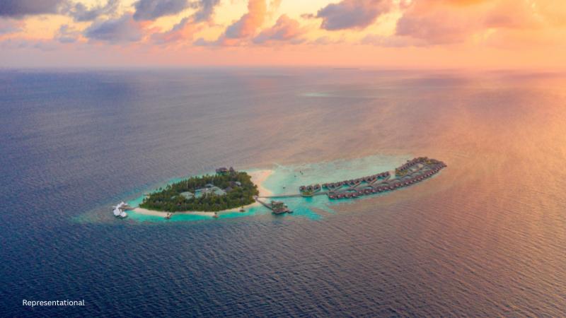 San Francisco opens Cityside Park with stunning views on Treasure Island