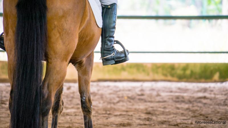 Major Texas horse ranches TR9 and TR9 West for sale, home to elite cutting horses