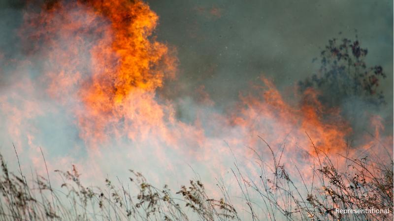 Rising heat and gusty winds heighten wildfire danger this week