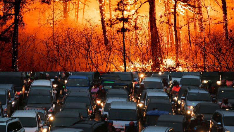 Massive Wildfire in New Jersey Forces Evacuations, Shuts Garden State Parkway