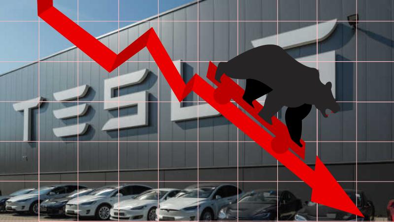 Tesla Stock Faces Seven-Week Decline Amid Elon Musk’s Political Engagement