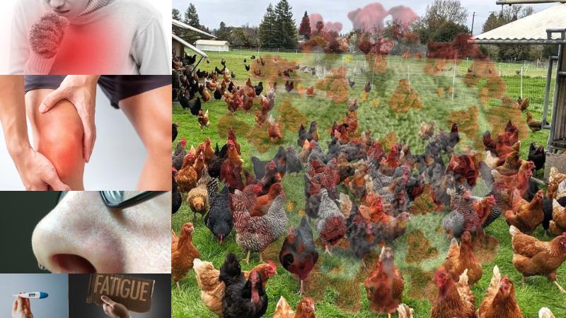 Rising Risk of Bird Flu Scientists Warn of Human-to-Human Transmission