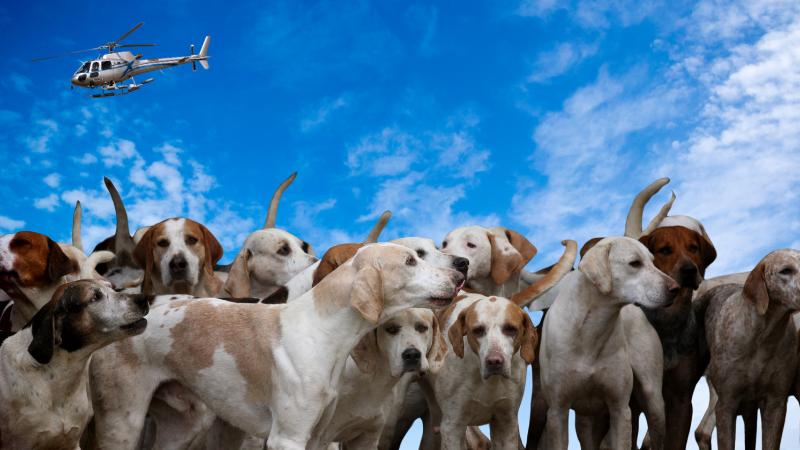 Joliet Slammers to drop 2,600 hot dogs from helicopter in world record attempt