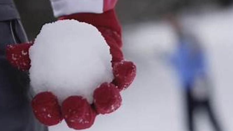 Gunfire Erupts After Snowball Hits Car, Leaving 12-Year-Old Injured in Hartford