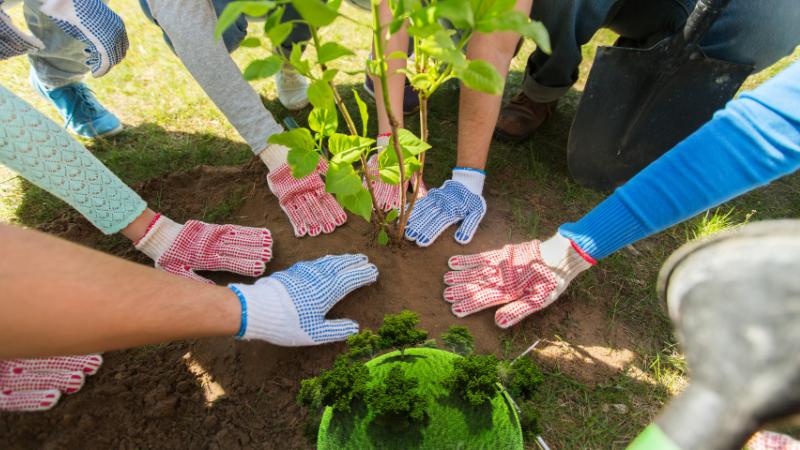 Mother's Day planting weekend in Columbus brings big crowds