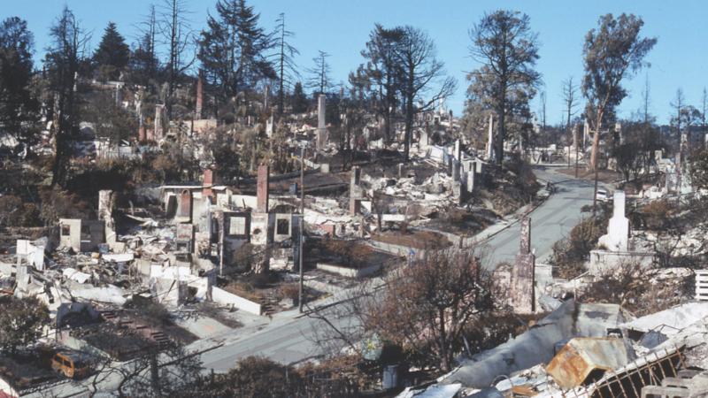 Berkeley Hills homeowners ordered to remove vegetation under new wildfire safety rules