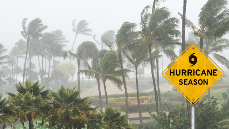 Hurricane Erick Slams Mexico as Category 3 Storm, Causing Floods and Landslides