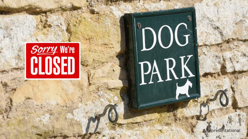 Dogs falling ill after visiting Nuevo Dog Park in Santa Clara remain a concern