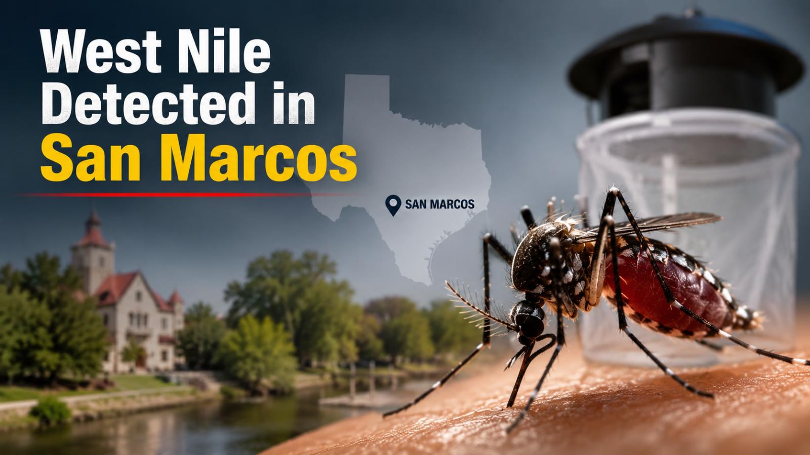 West Nile Virus Found in Two San Marcos Mosquito Traps