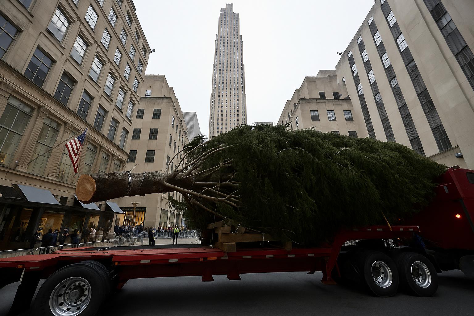 Rockefeller Center’s 2025 Christmas tree to arrive from East Greenbush, New York