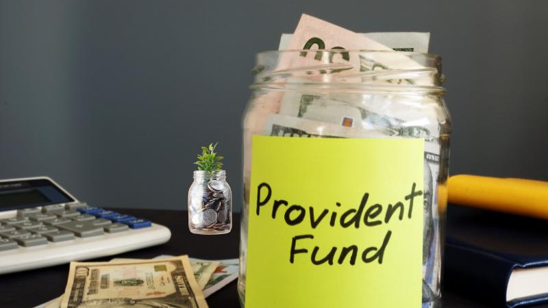 PPF account guidelines for NRIs Key rules, tax benefits, and maturity terms