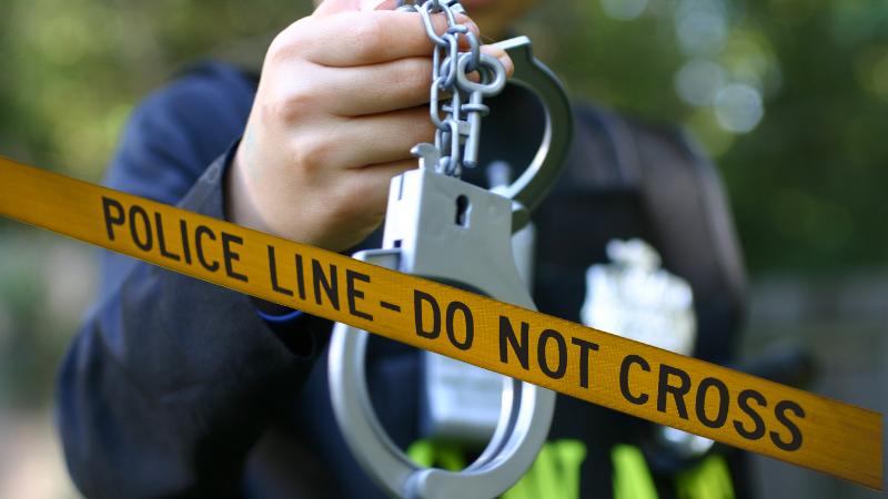 National Guard soldiers critically injured in shooting near the White House