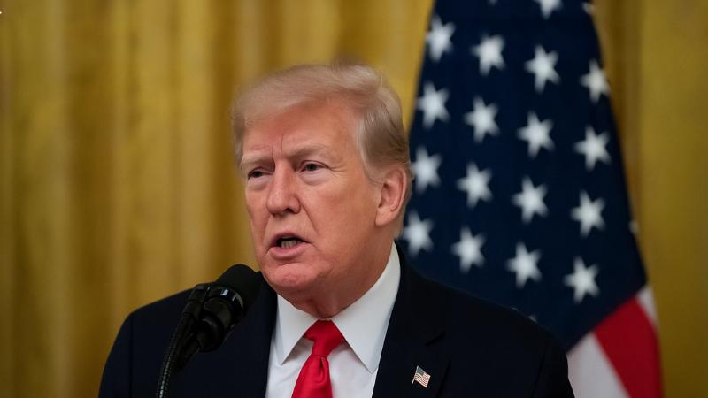 Thailand and Cambodia halt border fighting after talks with US president Trump