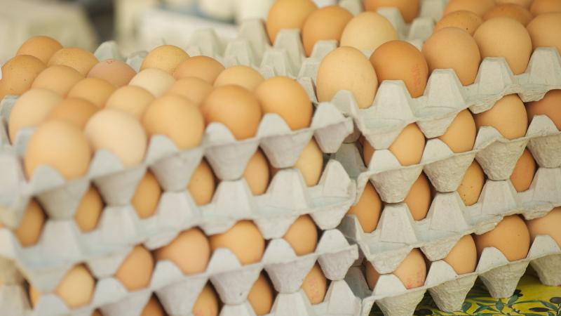 Stop & Shop Offers Free Dozen Eggs with $100 Purchase from April 18–20