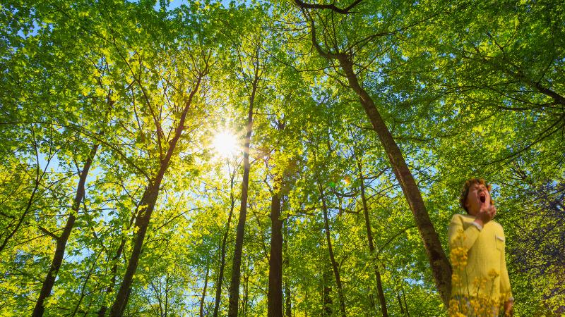 2025 Allergy Season Intensifies With Record Pollen Levels Across the U.S.