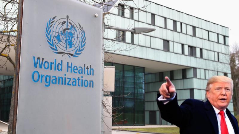 US to Exit World Health Organization, Trump Cites Political Bias and Funding Disparities