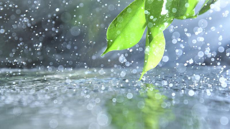 Severe storms threaten Chicago with flash floods, hail, and tornado risk into Friday night