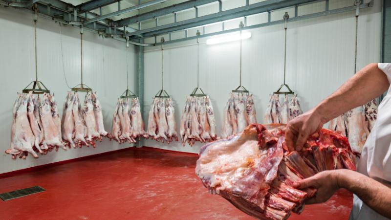 Wonder Lake Residents Oppose Proposed Slaughterhouse Near Homes and School