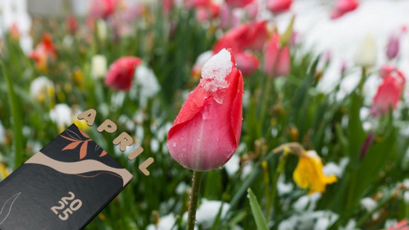 ​Severe Storms and Flood Risk Expected Friday as Freeze Warning Hits Parts of New Jersey