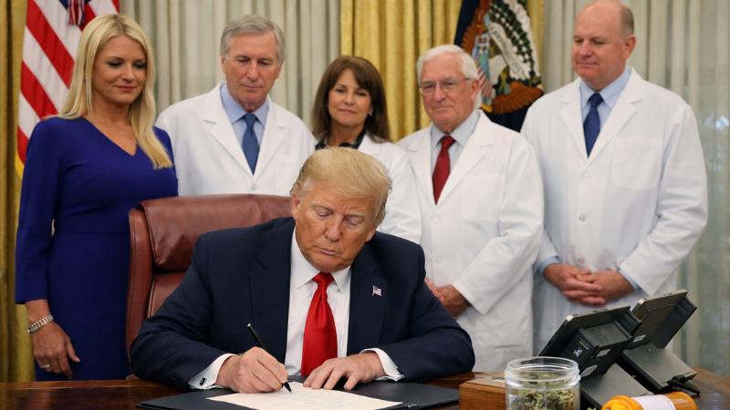 Trump signs executive order to reclassify marijuana under federal drug law