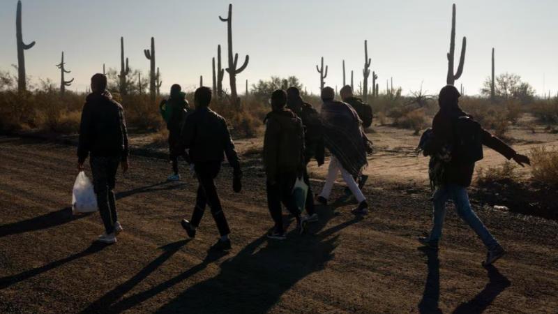 The Rising Wave  Unseen Indian Migration in the US