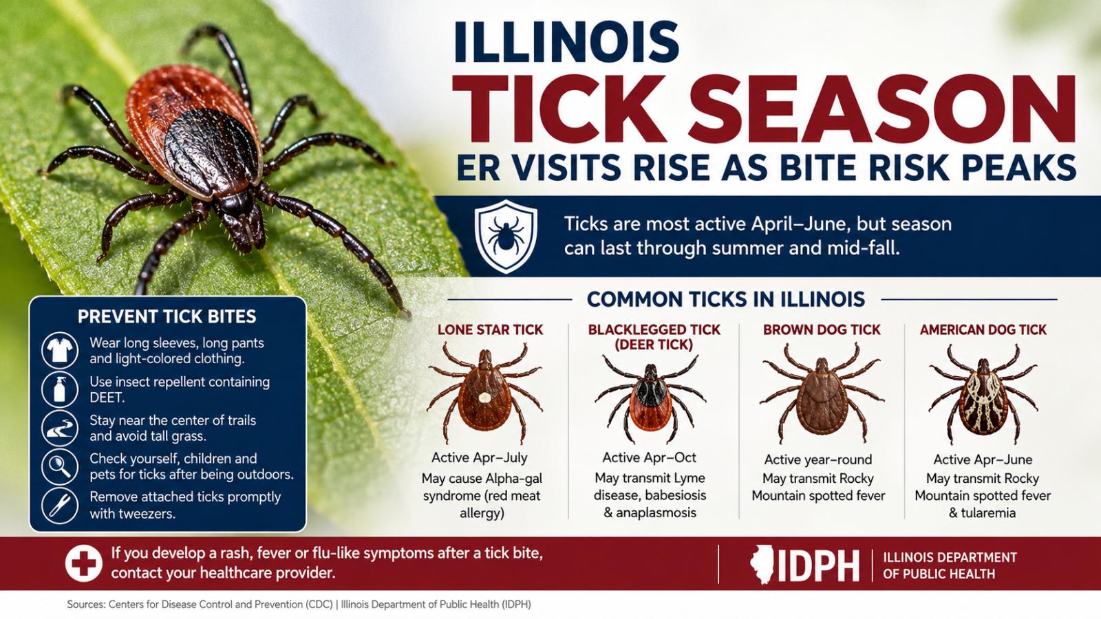 Illinois tick season: ER visits rise as bite risk peaks
