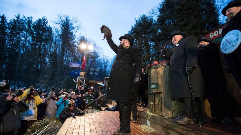 Conflicting groundhog predictions emerge across New Jersey on seasonal forecast