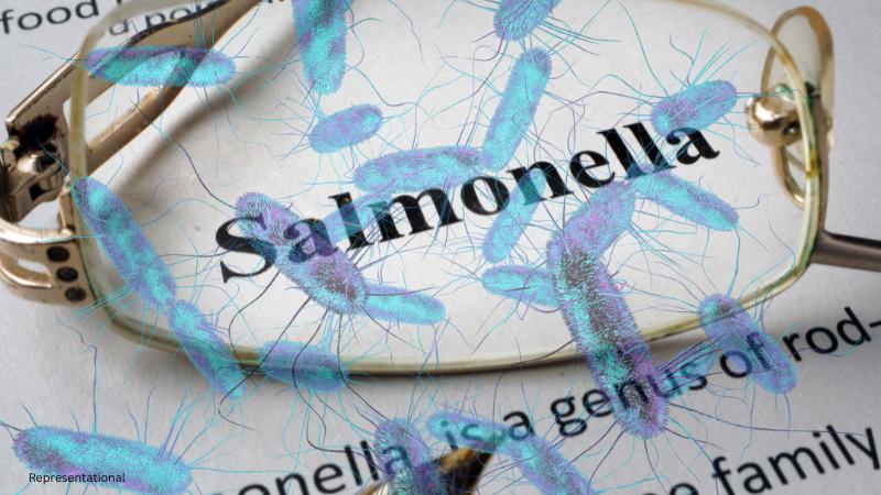 Illinois Resident Among Sick in US Salmonella Outbreak Linked to Home Delivery Meals