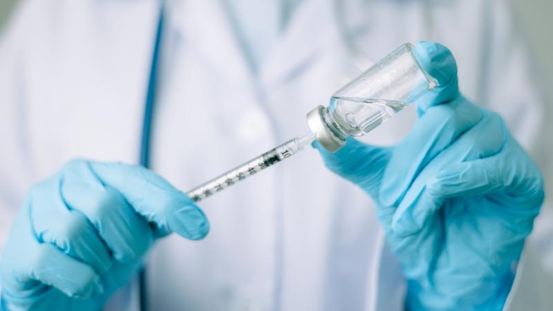 Bird Flu Crisis  NY Poultry Markets to Close for Disinfection Amid Outbreak