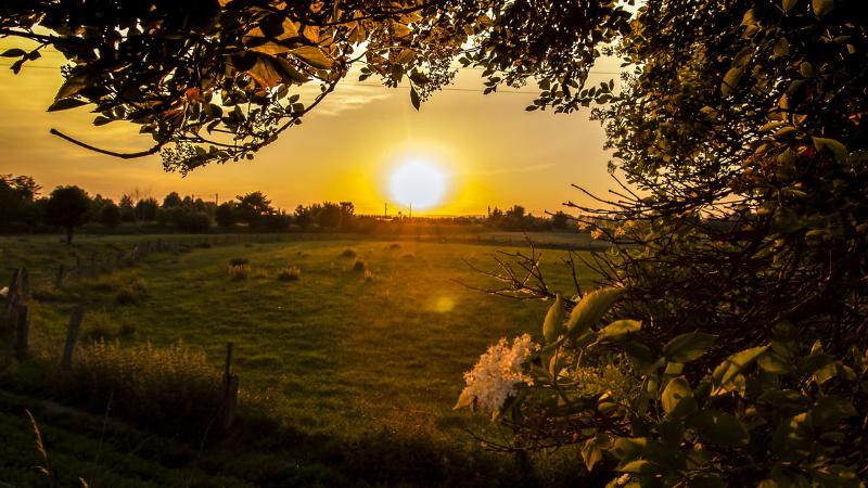 Cranbury Township seeks 175-year-old farm for housing, owner refuses to sell