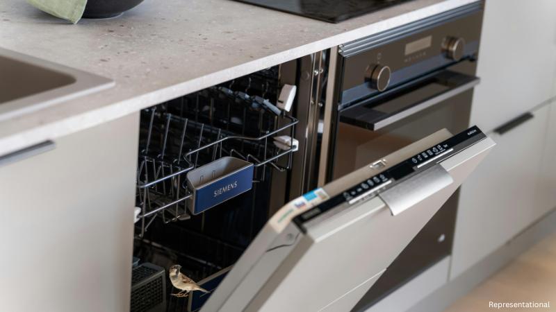 Arlington firefighters rescue pet toucan Chester trapped behind dishwasher