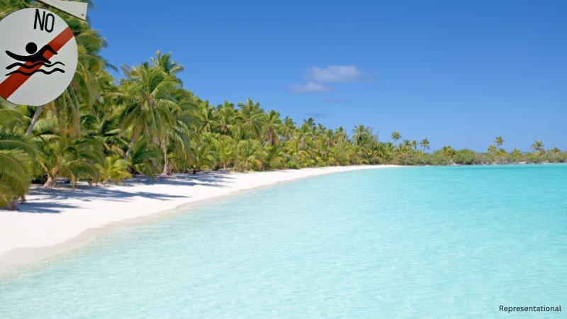 Rip current warnings may close Bay Head beaches to swimmers this week