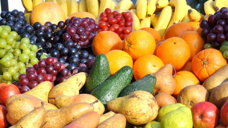 Cupertino volunteers harvest 250 lbs of fruit to help families in need