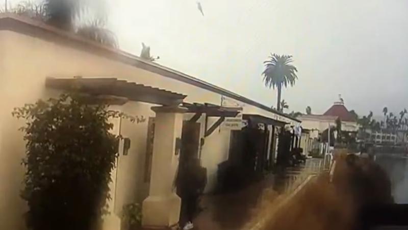 Swift Rescue at Sea  Detailed Account of the San Diego Harbor Jet Crash