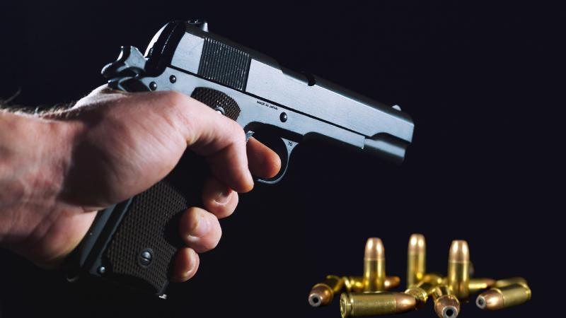 Gunfire Erupts at Northeast Harris County Birthday Celebration, Suspect Arrested