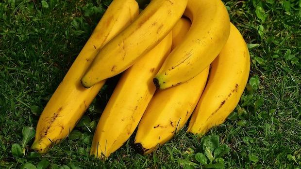Top Tips for Keeping Bananas Fresh Longer