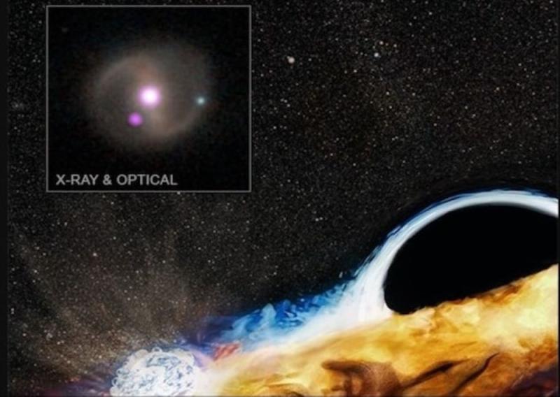 Spectacular Cosmic Event Black Hole Disrupts Star and Creates Dramatic X-ray Eruptions