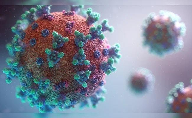 Emerging COVID-19 Variant XEC What You Need to Know
