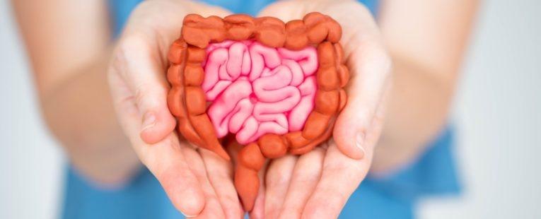 9 Essential Tips for Maintaining Gut Health During Seasonal Changes