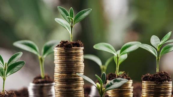 Mutual Fund Industry Experiences Net Outflows of ₹71,114 Crore in September