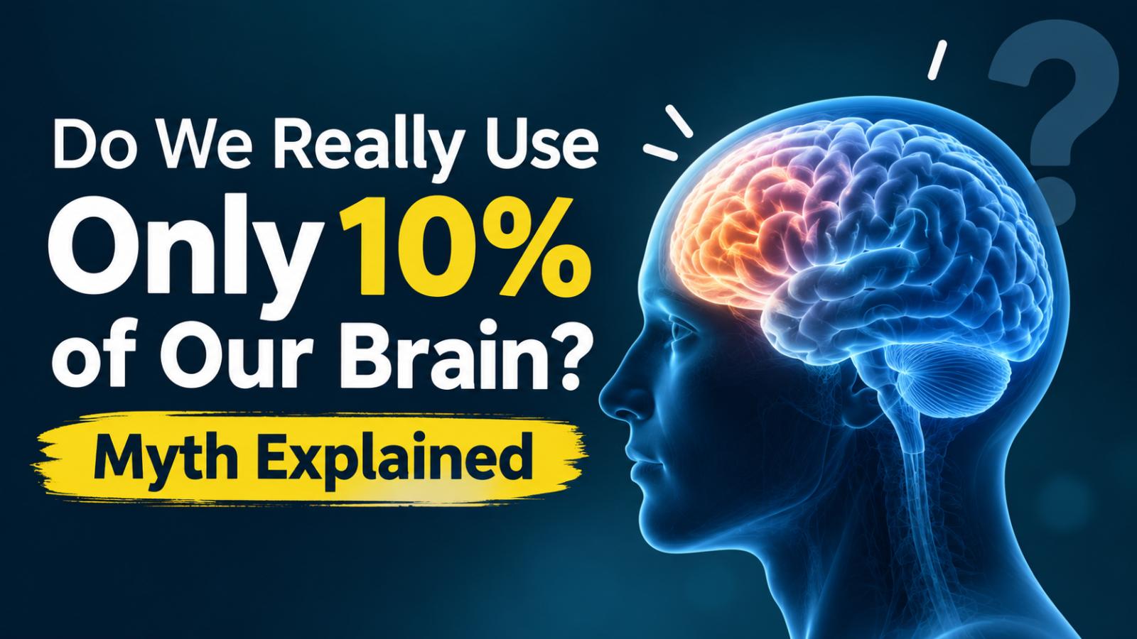 Do We Really Use Only 10% of Our Brain? Myth Explained