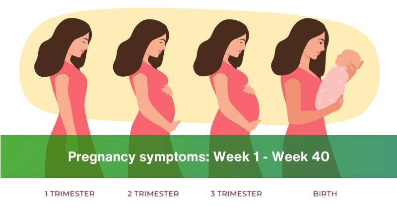 Common Pregnancy Myths in India Debunked