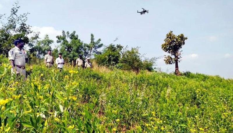 Police Use Drones to Destroy Illegal Ganja Crop in Andhra Pradesh